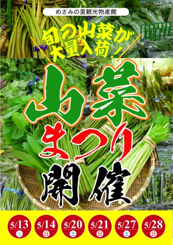 山菜まつり開催！：画像